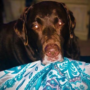 Meet your Posher, Kasey